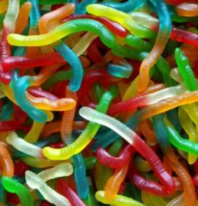Vers Lisses (100g)