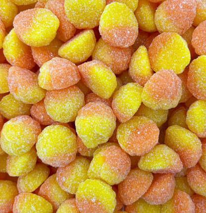 Crème Renversée (100g)